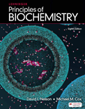 Lehninger Principles of Biochemistry (8th Edition)- David L. Nelson 