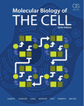 Molecular Biology of the Cell (6th Edition)- Bruce Alberts