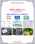 Hệ thống lý thuyết hóa học 11 GDPT 2018